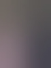 roelof-lent