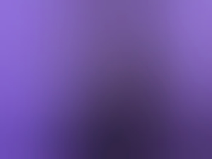 scoopie2022