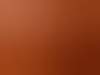 stel2838