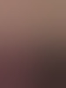 stel65plus