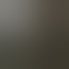 stouterdzld