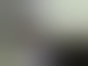 tallsexpert