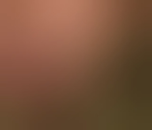 tonyvdh