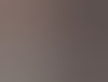 tvsusan