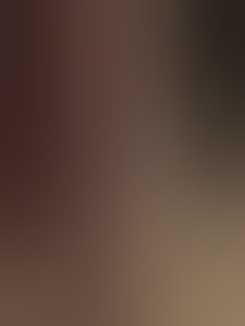 veluwefoto