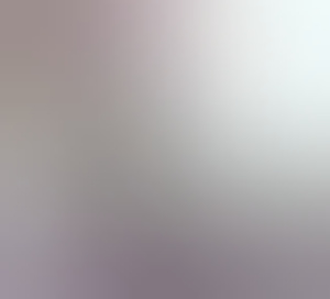 verwenner3