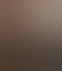 vijftiger461