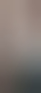 vixenvin