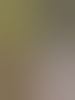 vlindertv
