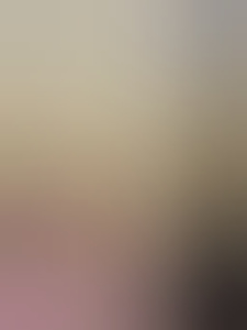 vlindertv