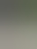 vzktx