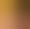 wij2nh