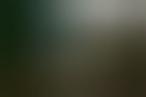 wim56