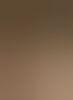 y81