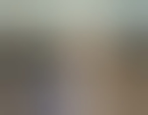y84