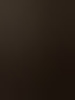 zeeuw35