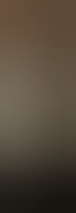 zh99